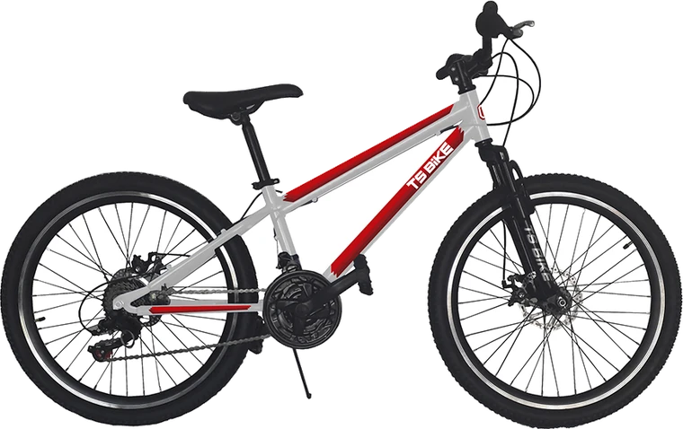 Bicicleta TS Bike Aro 24 Acero