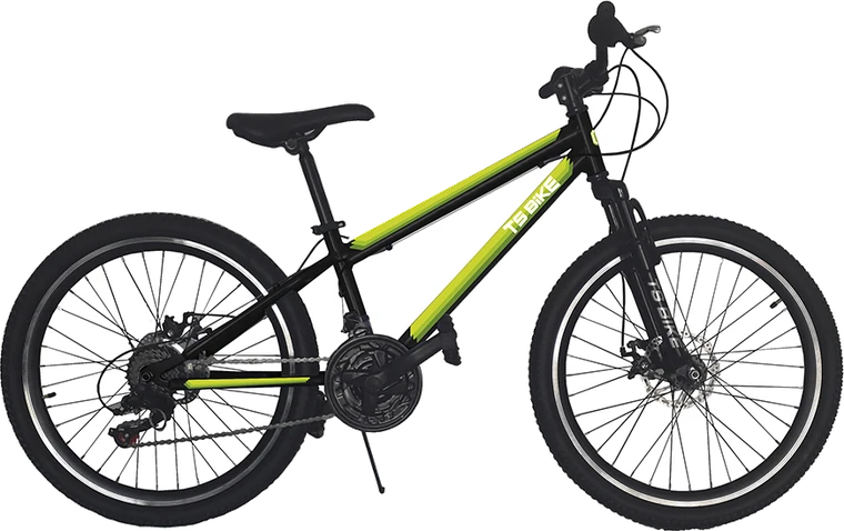 Bicicleta TS Bike Aro 24 Acero