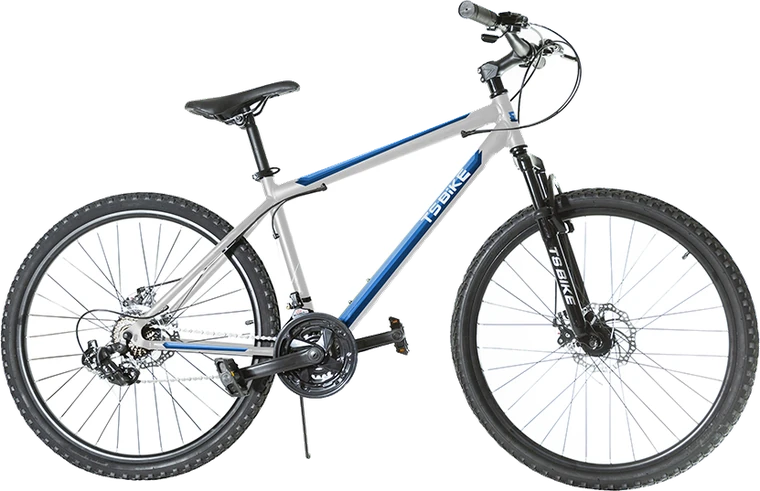 Bicicleta TS Bike Aro 29 Acero